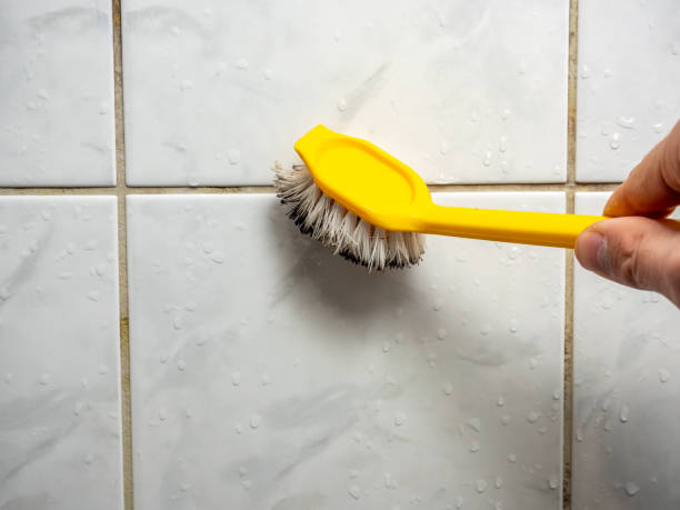 Best Bathroom Mold Remediation in Forrest, IL