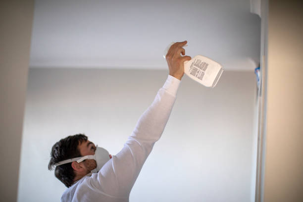 Best Industrial Mold Remediation in Forrest, IL