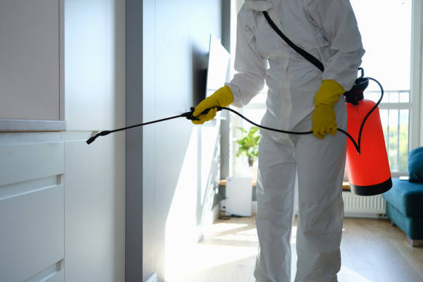 Best DIY Mold Remediation Support Services in Forrest, IL
